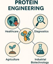 Protein engineering as a driver of innovation in therapeutics biotechnology and the global bioeconomy | Discover Chemistry | Springer Nature Link